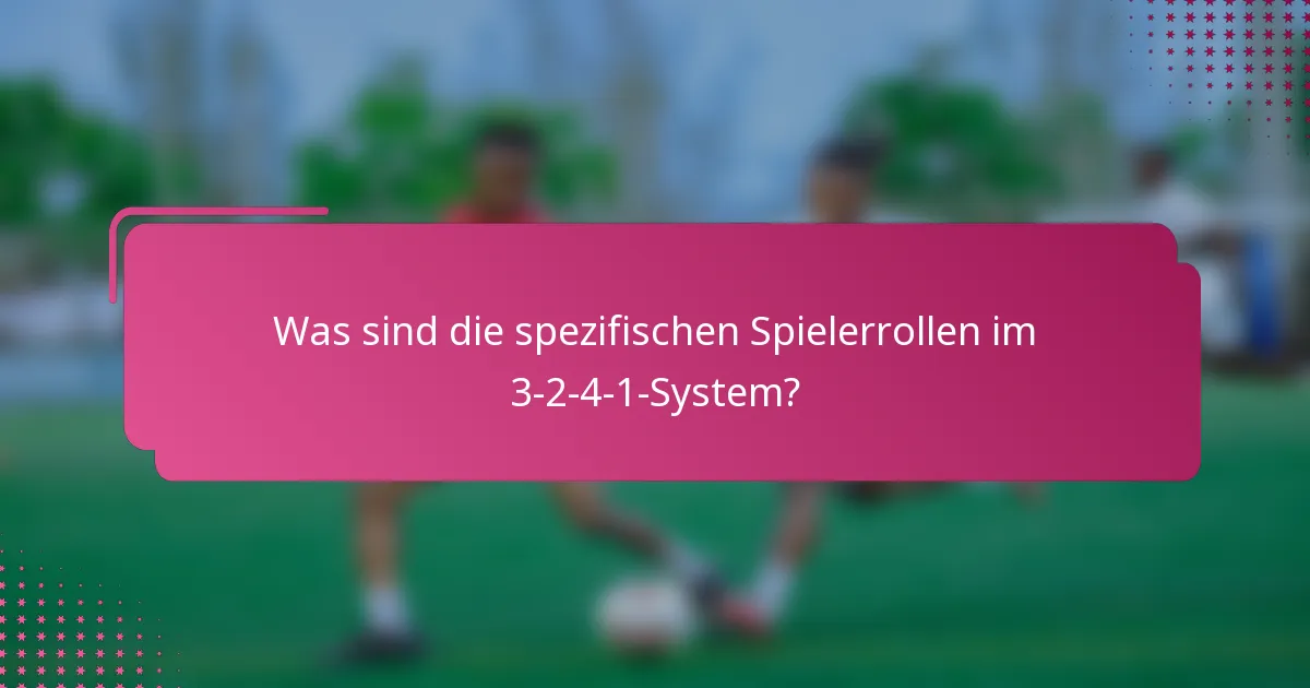 Was sind die spezifischen Spielerrollen im 3-2-4-1-System?