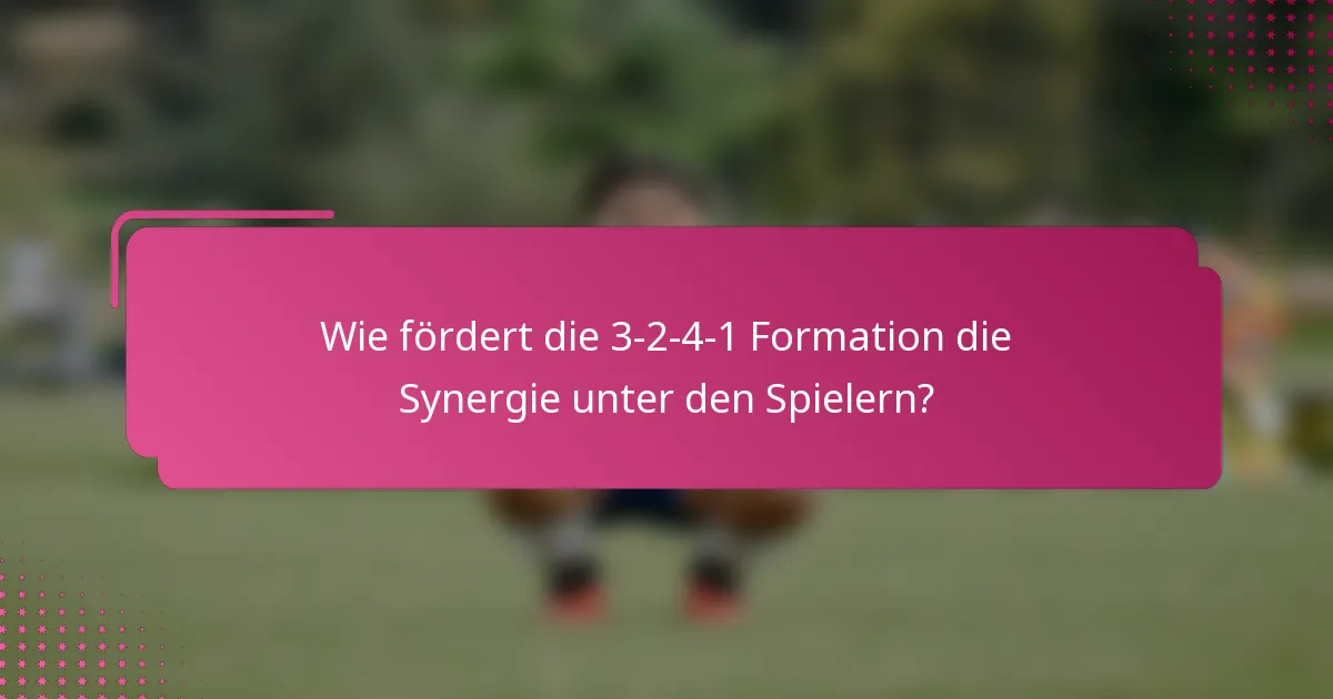 Wie fördert die 3-2-4-1 Formation die Synergie unter den Spielern?