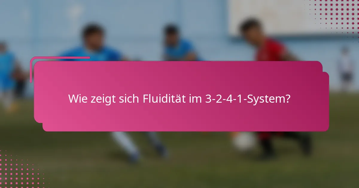 Wie zeigt sich Fluidität im 3-2-4-1-System?